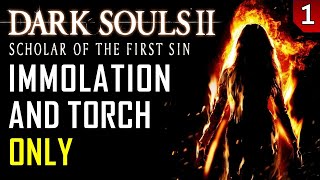 Dark Souls 2 - Immolation &amp; Torch Damage Only - Part 1