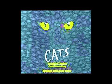 Video thumbnail for The Ad-Dressing of Cats