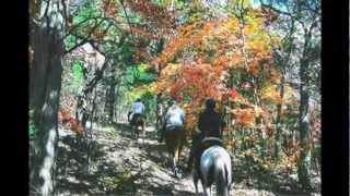 preview picture of video 'Trail Rides on Tennessee Walker, Missouri Fox Trotter and Peruvian Paso Horses.'