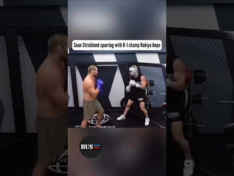 ⚡Стриклэнд против чемпиона К-1 #ufc #мма #спарринг #mma #youtube #wrestling #бои #boxing #tiktok