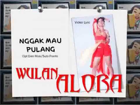 Wulan Alora   Nggak Mau Pulang