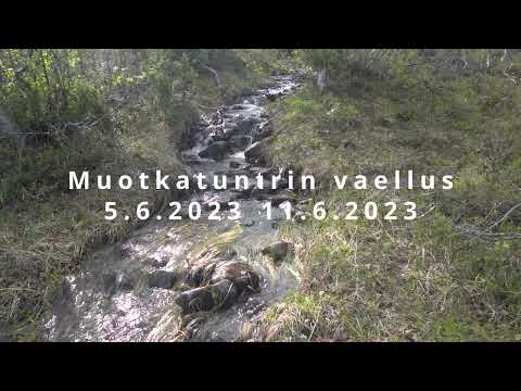 Muotkatunturin Vaellus 2023