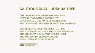 Joshua Tree Music Video