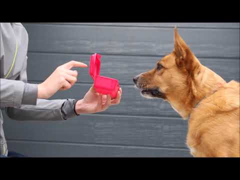 Kira 29.10.2017 - Dose öffnen - AUFBAU - Tutorial