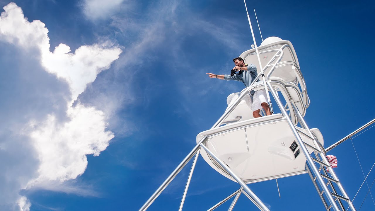 Бінокль Steiner Commander 7x50