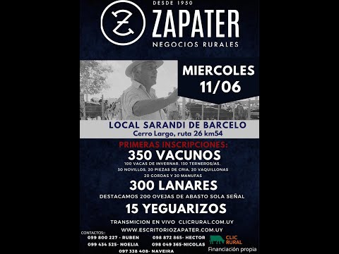 11/6/2025 Feria Mensual - Local Sarandi de Barceló -  Escritorio Zapater