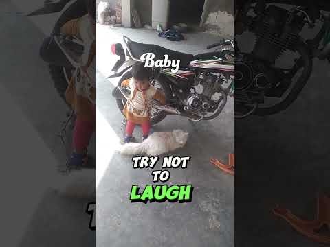 film mlbaby girl playing with cat.#funny #cats#viral#short