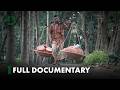 Inside The Life Of A Potter In Bangladesh DreamersEye
