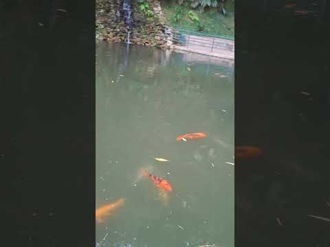 Passeio em Serra Negra
