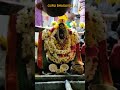 Guru Gurubhagavan குருபகவானேசரணம் Shortsfeed Shortsviral குரு