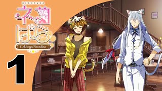 Nekopara Catboys Paradise | Part 1