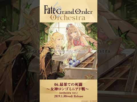 ڻİFate/Grand Order Orchestra performed by Ըġ06.ǲ̤ƤλƮ 󥴥ߥ˥ (orchestra ver.)