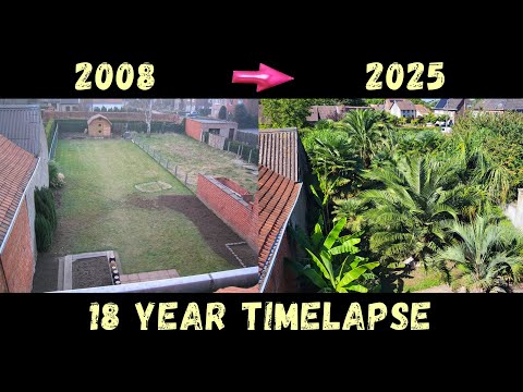 18 Years Timelapse of my Exotic Garden @ Belgium