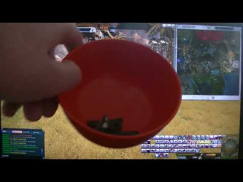 MongoTV_9400 - SPILLER ENTROPIA UNIVERSE ONLINE - Del 53 - Tømmer Low Level Mindforce Chips For TT