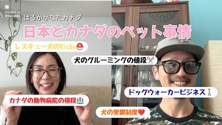 日本とカナダのペット事情