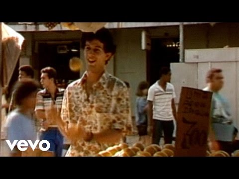Os Paralamas Do Sucesso - A Novidade (Video Clip)