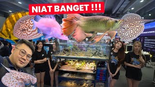 HABISKAN DANA MILIARAN HANYA UNTUK HOBI IKAN PREDATOR & HOBI IKAN HIAS DI NUSATIK 2025 HANYA 3 HARI