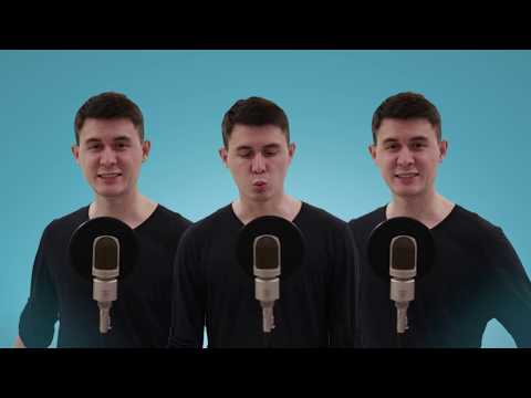 Ivan Valeev-"FLY"-IR Kats [COVER]. Bash version.