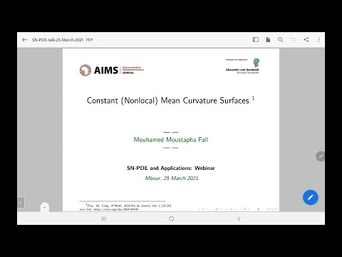 SN Partial Differential Equations and Applications Webinars - Mouhamed Moustapha Fall
