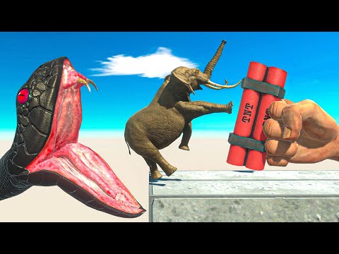 TNT PUNCH Who Can Survive? ► Animal Revolt Battle Simulator
