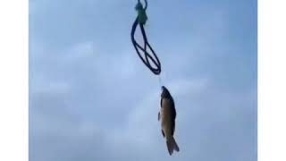 Download lagu Kata Baba Tutorial Masak Bar Bar lucu mp3