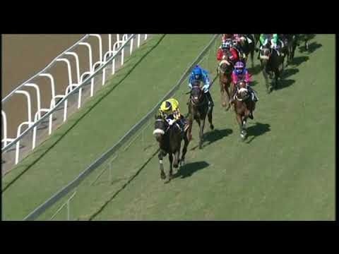 20200620 Hollywoodbets Greyville express clip Race 4 won by NUMBER EIGHT