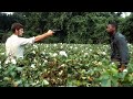 Slave Master Rape Black Woman Killed Her Husband The Butler 2013