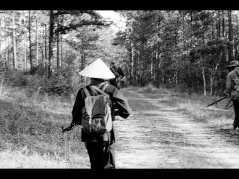 Vietnam Reenactment(Vietcong): Tactical at Tigerland 2017