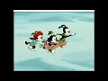 Wakko S Wish Wishing Star Goal German Dub