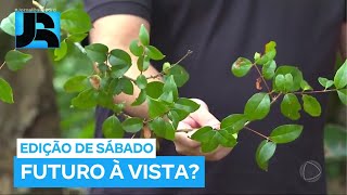 Miniatura do vídeo