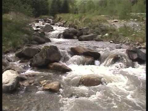 Daniela Tarnauceanu-Traiul meu pe asta lume