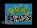 Rare 1992 Boomerang Bumpers