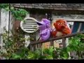 Barney Friends Season 4 Once A Pond A Time