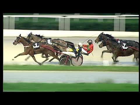 Napoli Trotto 8/12/2021 - 4ª corsa