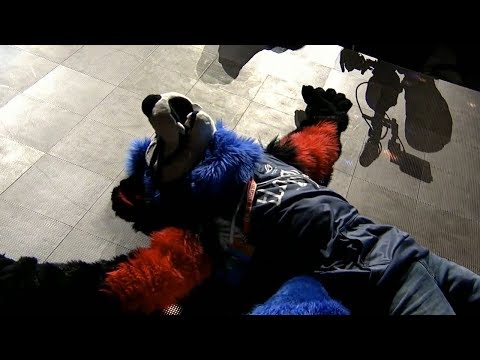 EVO 2018: Dragon Ball FighterZ Grand Final: CAG GO1 vs Echo Fox SonicFox