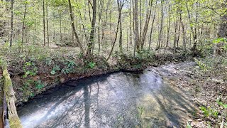 1064 Muskrat Creek Rd Hayesville NC 28904