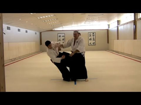 Aikido-Selbstverteidigung: Abwehr von Schlägen, Stößen und Tritten