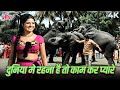 Duniya Me Rehna Hai To Kaam Kar Pyare 4K Song Haathi Mere Saathi Kishore Kumar Rajesh Khanna