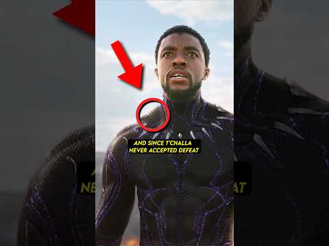 Black Panther's Hidden Detail Everyone Missed