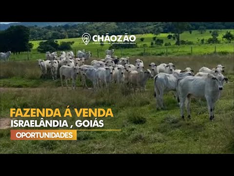 FAZENDA Á VENDA EM ISRAELANDIA - GO
