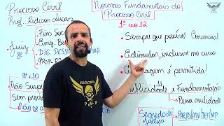 CPC M1A2   Das Normas Fundamentais do Processo Civil