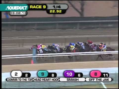 Comma to the Top - 2013 Tom Fool (G3)