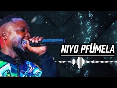 Zito Mambone - Swilava ku Pfumela | Oficial Audio