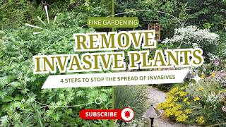 4 Steps to Remove Invasive Plants