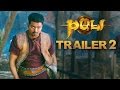 Puli Video Image