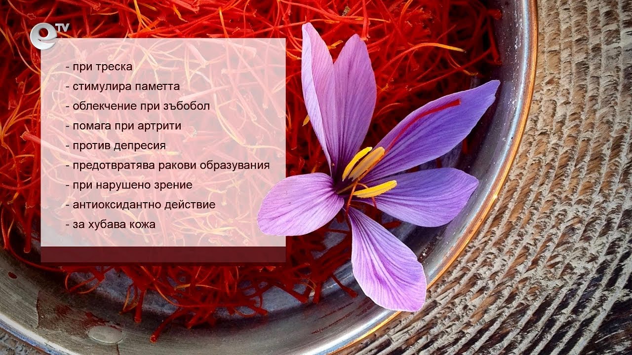 Шафранът – подправката с цена на злато