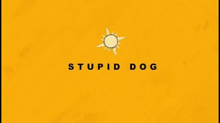 廻する毒素 - TOOBOE アルバム「Stupid dog」全曲試聴版