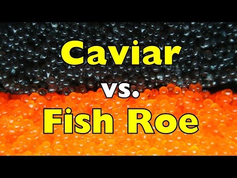 Caviar vs. Fish Roe: What Makes One So Expensive?
