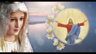 TODAY HOLY ROSARY: WEDNESDAY, AUGUST 05, 2026 - THE HOLY ROSARY WEDNESDAY