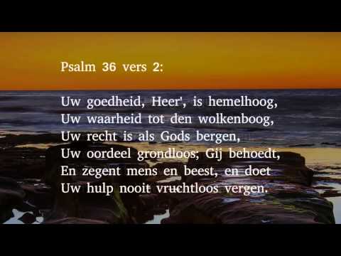 Psalm 36 vers 2 - Uw goedheid, Heer', is hemelhoog